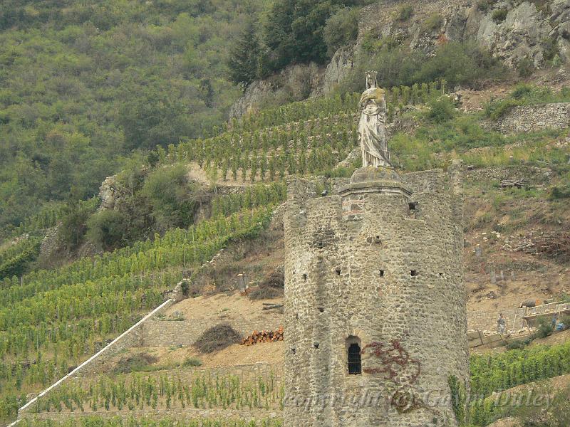 Vineyards near Tournon-sur-Rhône P1140156.JPG